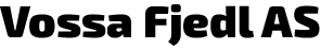 Støttespelar